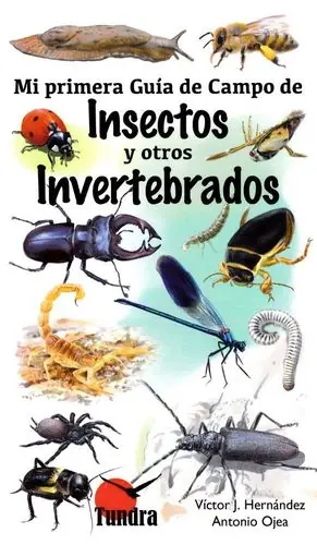 MI PRIMERA GUÍA DE CAMPO DE INSECTOS Y OTROS INVERTEBRADOS Última Oportunidad