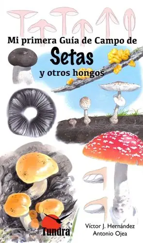 MI PRIMERA GUIA CAMPO DE SETAS Y OTROS HONGOS Disponible Ahora