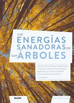 Las energías sanadoras de los árboles Bestseller