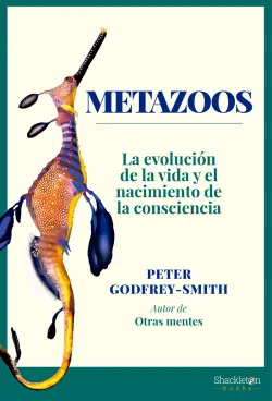 Metazoos Solo Hoy