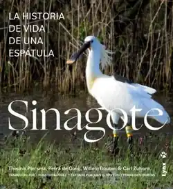 SINAGOTE Rebajas