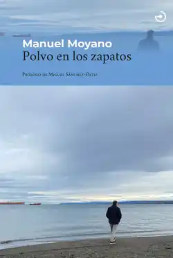 Oferta Limitada Polvo en los zapatos