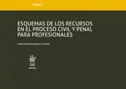 Esquemas de los Recursos en el Proceso Civil y Penal para Profesionales Promoción Exclusiva