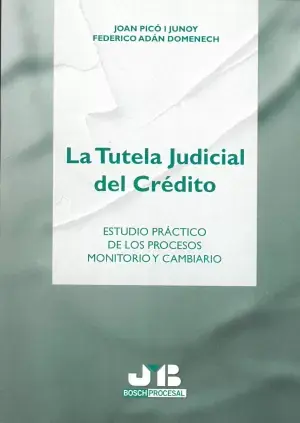 La Tutela Judicial del Credito Precio Bajo