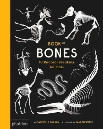 Popular BOOK OF BONES BOOK OF BONES