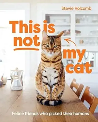 Ordena Ya THIS IS NOT MY CAT THIS IS NOT MY CAT