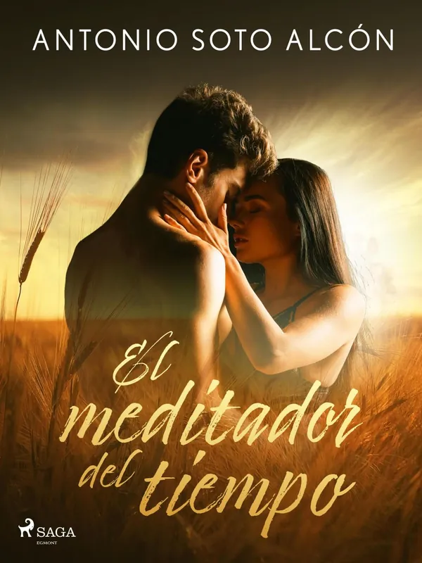 Barato El meditador del tiempo
