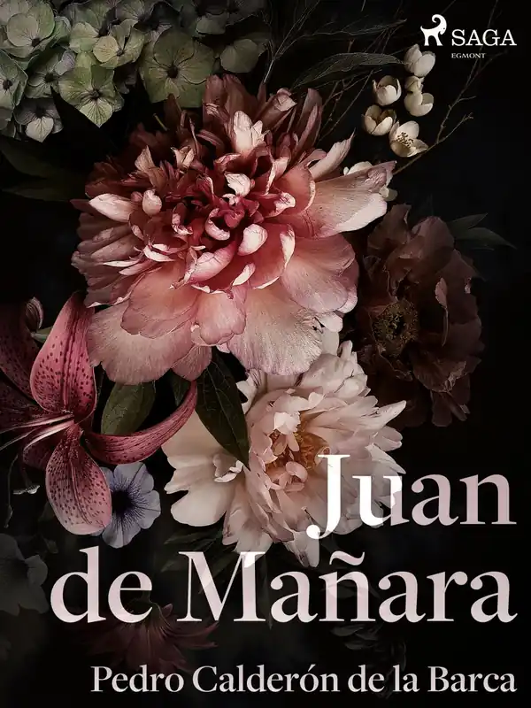 Compra Ahora Juan de Mañara