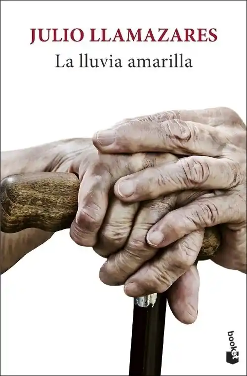 A Buen Precio La lluvia amarilla