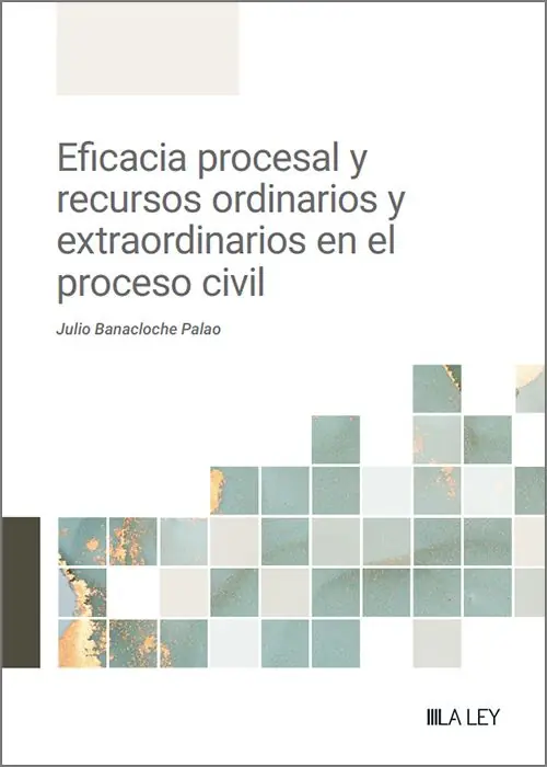 Súper Precio Eficacia procesal y recursos ordinarios y extraordinarios en el proceso civil