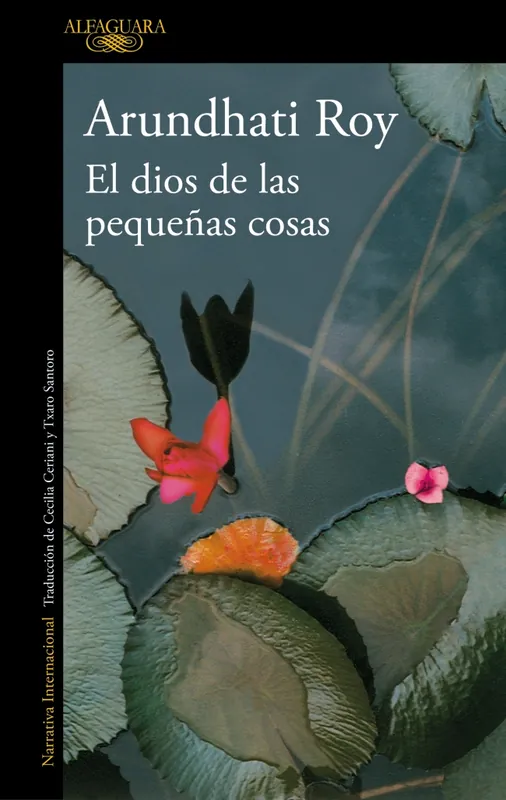 Ocasión Especial El dios de las pequeñas cosas