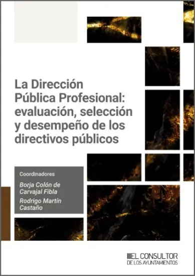 La Dirección Pública Profesional Directo De Fábrica