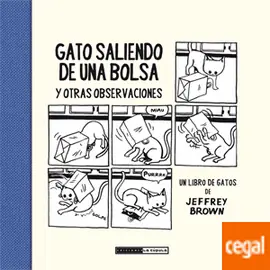 Ocasión Especial GATO SALIENDO DE UNA BOLSA Y OTRAS OBSERVACIONES "